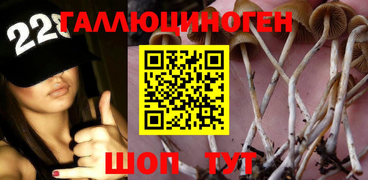 Галлюциногенные грибы Cubensis  Вход с VPN  Будённовск 